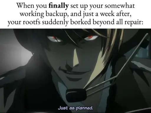 When you finally set up your somewhat working backup, and just a week after, your rootfs suddenly borked beyond all repair: *Just as planned*
