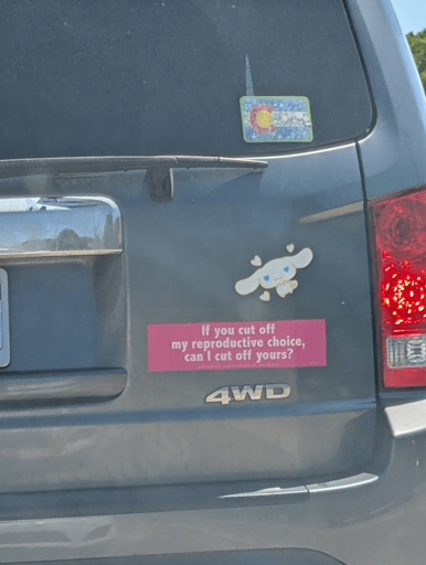 If you cut off my reproductive choice, can I cut off yours?