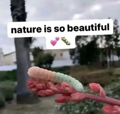 "nature is beautiful ❤️🪱" with a photo of a sour gummy worm on a stick